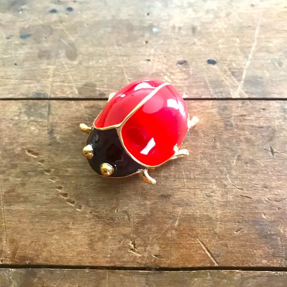 Vintage beetle pin Donald Stanner